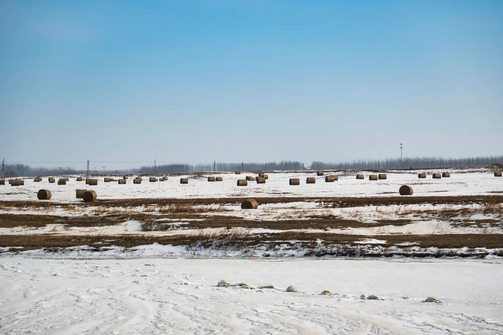 农场管理系统软件在河南农业合作社的落地实践与效益分析正文配图 1