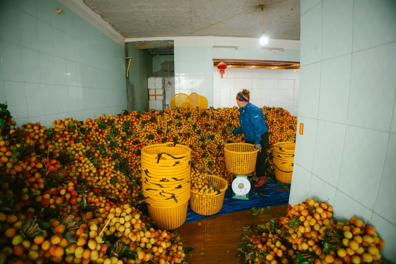 投入品管理与产量统计软件功能对比及选型建议