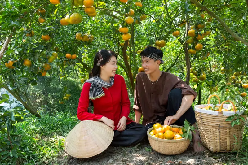 农场管理系统软件与农资库存软件协同优化方案设计