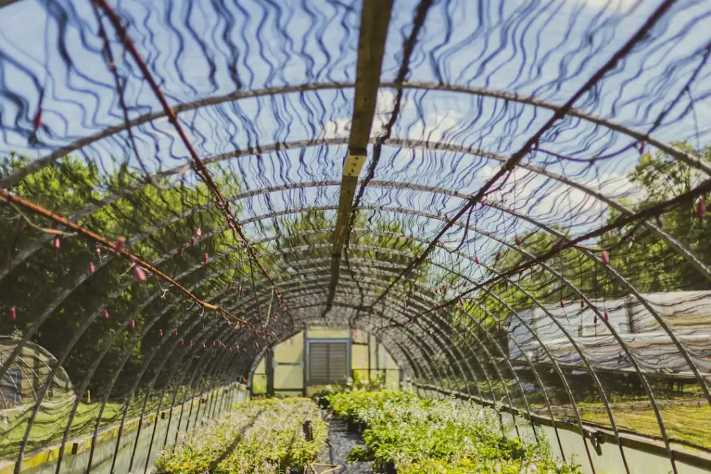 农事记录软件在规模化种植中的实际应用效果评估