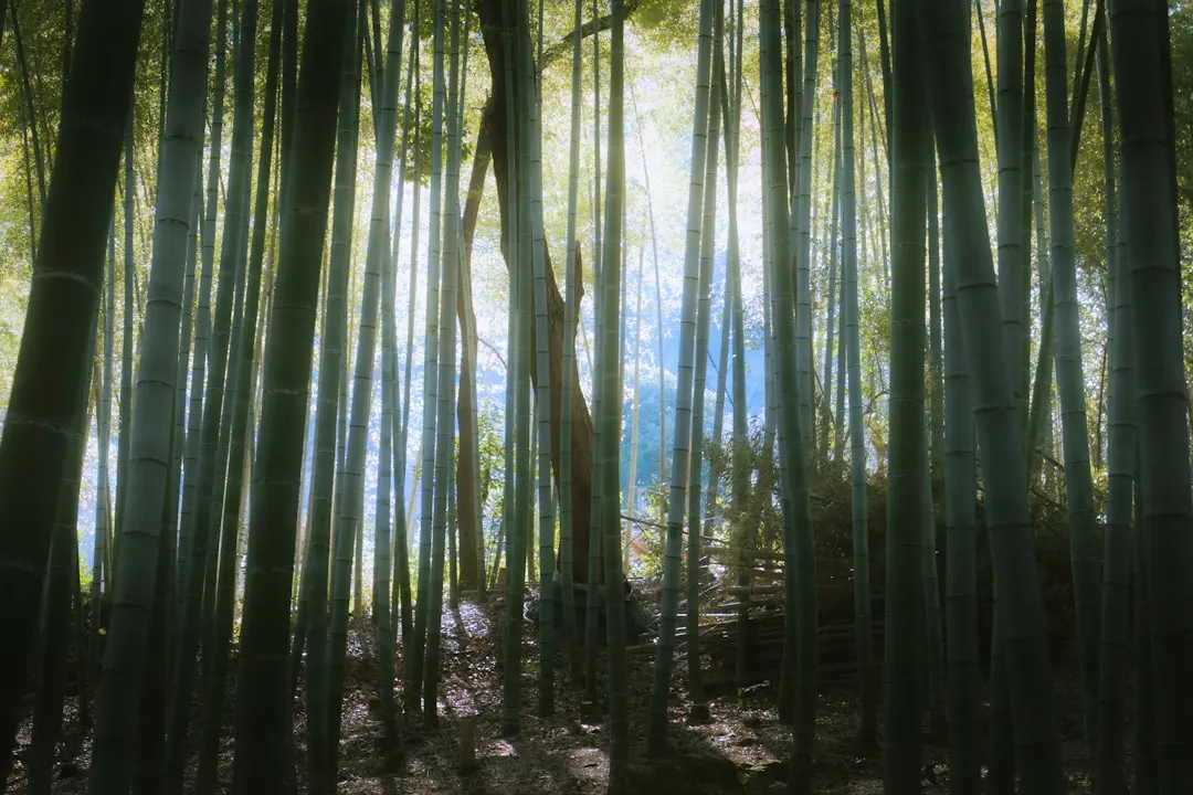 项城农事记录软件如何提升种植大户田间管理效率